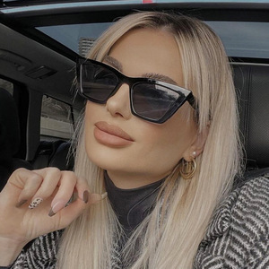 Supporto Dropshipping, Nuovi Occhiali da Sole Cat Eye Personalizzabili con Logo, Semplici ed Eleganti, Moda di Alta Gamma per Donna, Montatura <span class=keywords><strong>Blu</strong></span> e Nera, Unisex - Product Image 2