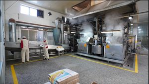 בוטנים אורגניים טהורים טבעיים קלויים מלוחים אגוזים חטיפי חלבון מיובש ומעובד גלם מזין - Product Image 6