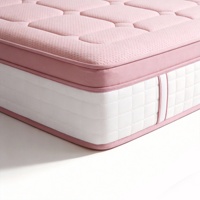 Sofá Cama Plegable Multifuncional Económico con Estructura de Hierro para Hotel y Apartamento, Colchón Plegable de Doble Uso, Directo de Fábrica