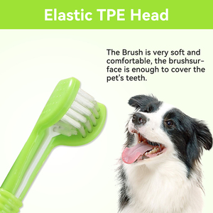Cura dentale per animali domestici 3 testine morbide denti pulizia cane e gatto spazzolino da denti - Product Image 2
