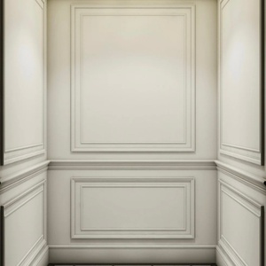 Ascenseur personnel hydraulique sans engrenage FUJI HK, fabricant chinois, pour 6 personnes, pour villa, hôtel, appartement - Product Image 5