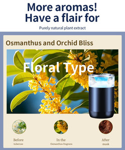 Diffuseur d'air en métal et plastique, parfum nuageux, décoration d'intérieur, aromathérapie, parfum, pulvérisation automatique start-stop - Product Image 4