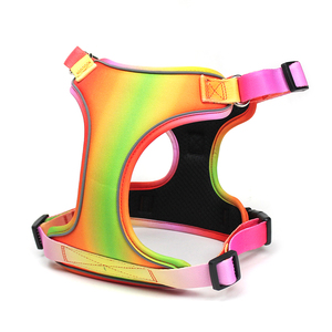 Set Harnesses Anjing dan Kucing dari Nilon, Custom Print Mewah, Dapat Disesuaikan, Reflektif, Kuat, Anti Tarik, untuk Aktivitas Luar Ruangan - Product Image 3