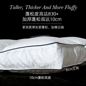 Surmatelas en duvet de canard doux 150x200cm 180x200cm 200x200cm 200x220cm Literie d'hôtel Couche de confort matelassée chaude - Product Image 4