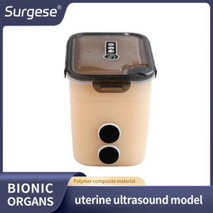Modello Compatto per Addestramento ad Anatomia dell'Utero con Ultrasuoni, Simulatore Ginecologico con Ovario e Tromba di Fallope Inclusi - Product Image 3