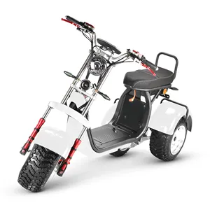 Çift arka tekerlek 4000w 3 tekerlekli salıncak motosiklet satılık