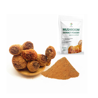 3,5 Oz zakje / Goodex Royal Sun Blazei Paddenstoelenextract Poeder 30% Beta D Glucan Vloeibaar-Vast Extract Voedingsmiddel Vacuüm verpakt Blik