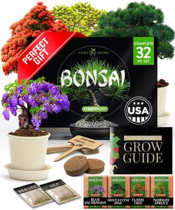 Kit <span class=keywords><strong>de</strong></span> démarrage pour bonsaïs d'intérieur - 4 bonsaïs - <span class=keywords><strong>Cadeau</strong></span> pour hommes/femmes - Hobby <span class=keywords><strong>de</strong></span> jardinage - Idée <span class=keywords><strong>cadeau</strong></span> <span class=keywords><strong>de</strong></span> Noël pour maman et papa - Product Image 1