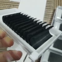 Extensions de cils Easy Fan Blooming Lashes 0.05mm 0.07mm Noir Mat avec cartes de support en feuille métallisée