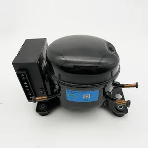 Kompresor Inverter 12/24V DC LBP-R134a, Kompresor Inverter 12/24V untuk Pendingin Udara atau Kulkas