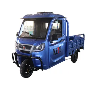 YANO 3-Wheel Electric Tricycle Cargo Big Power 1000W 60V for Adults Open Body Type with 500kg Curb Weight Competitive Price