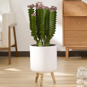 <span class=keywords><strong>Maceta</strong></span> de Metal de pie <span class=keywords><strong>con</strong></span> tres <span class=keywords><strong>patas</strong></span> de <span class=keywords><strong>madera</strong></span>, decoración para el hogar y el jardín, venta al por mayor - Product Image 3