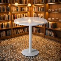 Ensemble de table à manger ronde contemporaine moderne en acier inoxydable, durable, écologique, blanc, petite taille, vente en gros