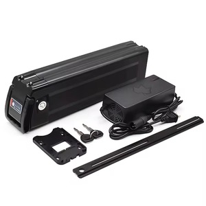 Silver Fish 48V 20Ah Lithium Ion Battery 48V BMS Pack avec chargeur 1500W pour 250W 400W E-Bike Scooter Bicycle - Product Image 3