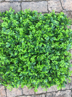 Panneau de haie artificielle en buis, plantes artificielles, mur végétal, matériau vert pour extérieur et intérieur, mur végétal pour l'intimité, jardin vertical