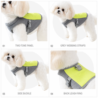 Harnais pour chien en maille souple avec laisse, ensemble anti-traction réglable pour chiens de petite et moyenne taille, chiots