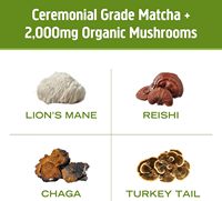 LIFEWORTH Mélange pour boisson matcha superfood latte aux champignons avec adaptogènes Grade cérémoniel