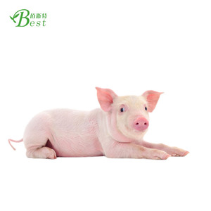 Polvo de vitamina <span class=keywords><strong>E</strong></span> 50%, antioxidante de grado alimenticio para piensos - Product Image 3