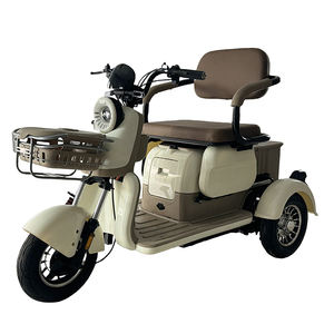 สไตล์สกูตเตอร์ไฟฟ้า3ล้อพร้อมตะกร้าและที่นั่งเด็กสกูตเตอร์ไฟฟ้า48V/60V 500W 600W 800W - Product Image 2