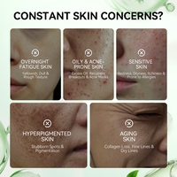 Série de masques végétaux Breylee, cosmétiques en marque privée, masque facial au collagène pour femmes, nettoyage en profondeur