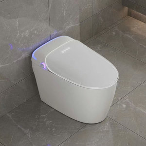 Best Selling Matte <strong>Black</strong> Color Wall Mounted Concealed Flushing Tank Wash Down Ceramic <strong>Toilet</strong> and Built in Wash Closet WC - Product Image 6