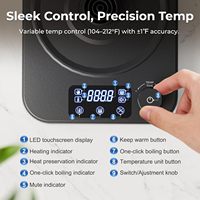 Hervidor Eléctrico Portátil Inteligente con Cuello de Cisne para RV, 0.9L 1200W, Acero Inoxidable 304, Temperatura Constante, para Leche, Té y Preparación de Leche para Bebés