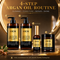 Kit de Cuidado Capilar con Aceite de Argán al por Mayor, Champú de 500 ml, Acondicionador de 250 ml, Mascarilla Capilar de 100 ml, Suero para Marcas de Belleza, Suministro OEM de Fábrica