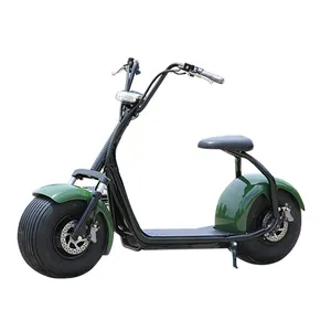 Fast delivery CE EEC OEM 2023 Hot selling customized Electric Motorcycle fat tyre electric scooter for adult citycoco