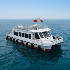 Bateau de tourisme en acier certifié CE, type catamaran, avec capacité de passagers personnalisable et services de conception gratuits - Product Image 3