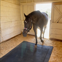 Matelas de lit pour chevaux en caoutchouc et matelas de box pour chevaux avec tapis doux pour box à chevaux offrant un confort supplémentaire