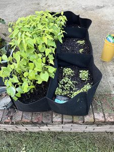 Sacs de culture en tissu non tissé pour légumes et fleurs, jardinières surélevées durables et pliables pour l'extérieur avec poignées, capacité de 10 gallons - Product Image 5