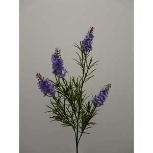 สเปรย์ลาเวนเดอร์ X4 70CM LV - Product Image 1