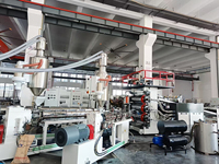 Ligne de production de granulation automatique à double vis pour extrudeuse de feuilles de bagages en HDPE/PS/ABS à 1-3 couches pour valises en plastique