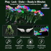 Lampes à piquet LED en forme de rose pour extérieur, pour parcs à thème, jardins, décoration paysagère, étanches IP65, solution d'éclairage personnalisée