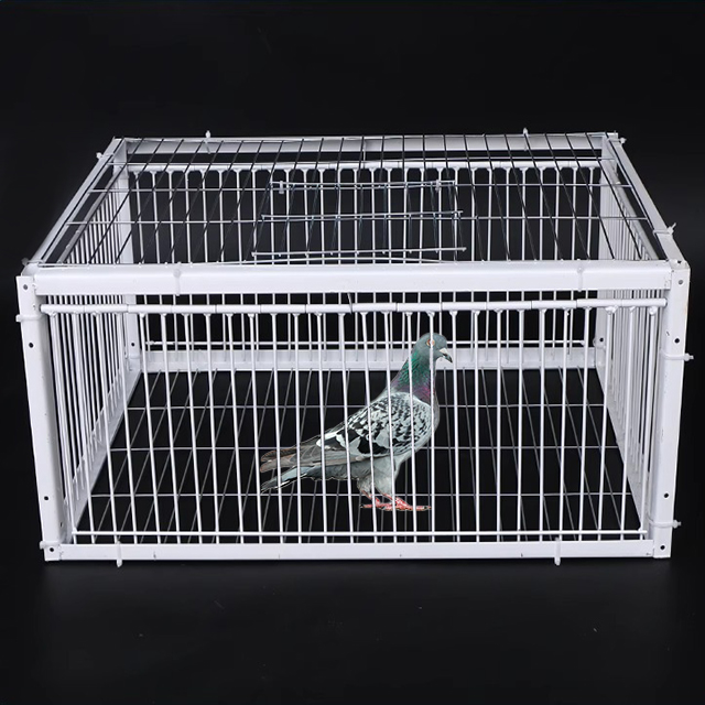 trap divider cage