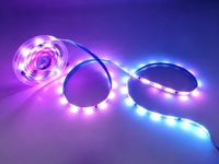Bande lumineuse LED DC12V SMD5050 RGBIC WS2812B/SK6812, 30 LED/m, adressable, programmable, changement de couleur, télécommande, flexible