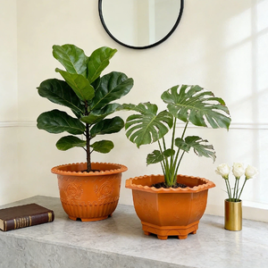 <span class=keywords><strong>Macetas</strong></span> <span class=keywords><strong>de</strong></span> Plástico Extra Grandes/<span class=keywords><strong>Jumbo</strong></span> Resistentes <span class=keywords><strong>de</strong></span> Alta Calidad y Económicas - Diseño Clásico para Bonsái, Balcón y Jardín Exterior - Product Image 2