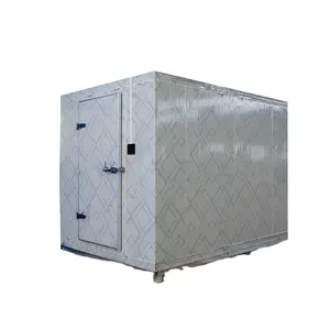 Cámara frigorífica para caminar, equipo de refrigerador, sala de almacenamiento en frío, contenedor congelador, uso personalizado para Hotel