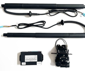Poste de puerta trasera eléctrica 32296296, elevador de <span class=keywords><strong>maletero</strong></span> trasero, puntal de Gas, soporte de resorte, piezas de carrocería para BMW X5 F15 Infiniti para Nissan para Lexus - Product Image 5