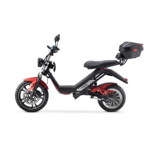 60V 50AH vélo électrique 4000W moteur EEC Scooter pour adultes Streetbikes et moto vintage 60 km/h Europe entrepôt - Product Image 1