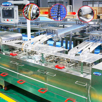 Machine à fabriquer des biscuits sandwich Skywin et machine d'emballage en forme de coussin 530S