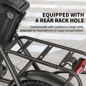 Vélo électrique Hidoes C5 en stock dans les entrepôts du Royaume-Uni, des États-Unis et de l'UE, vélo hybride électrique 14 pouces, vélo électrique en acier pour adultes, 36V - Product Image 3