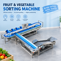 Geïntegreerde sorteermachine voor dozen, passend bij waslijn voor een complete fruit- en groenteverwerkingsketen