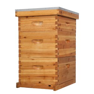 Hot Sale Wax Coated Wooden Bee Hive Boxes Complete Langstroth Beehive 10 <b>Frames</b> - Product Image 1