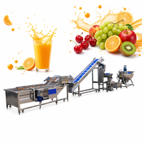 Installatie voor de verwerking van vers fruit, commerciële machine voor het maken van geconcentreerd fruit sap, complete productielijn voor fruit sap