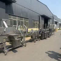 Volledig automatische continue friteuse voor de productielijn van frites, chips, kip, vis, gehaktballen, pinda's en aardappelproducten.