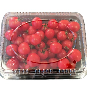 Clamshell 1000g Transparent Clamshell Blister Fruit And Vegetable Packaging Box 1000g