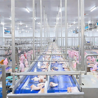 Ligne d'abattage de poulet Offre Spéciale Raniche Machine d'abattage de volaille