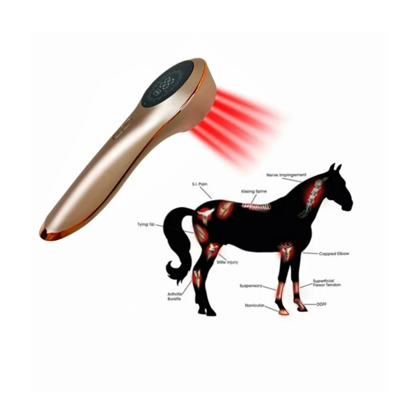 Equine Equipment Medical Laser Therapy Device for Horses Arthritis Pain Relief Wound Healing veterinary laser