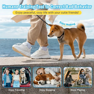 2025 Hot <span class=keywords><strong>2</strong></span> Pack Collar de choque para perros Control de ladridos Tono de advertencia Vibración Choque Impermeable Recargable Dispositivo de disuasión de ladridos de perros - Product Image 6